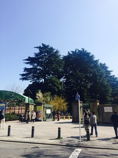 image-605dd.jpg